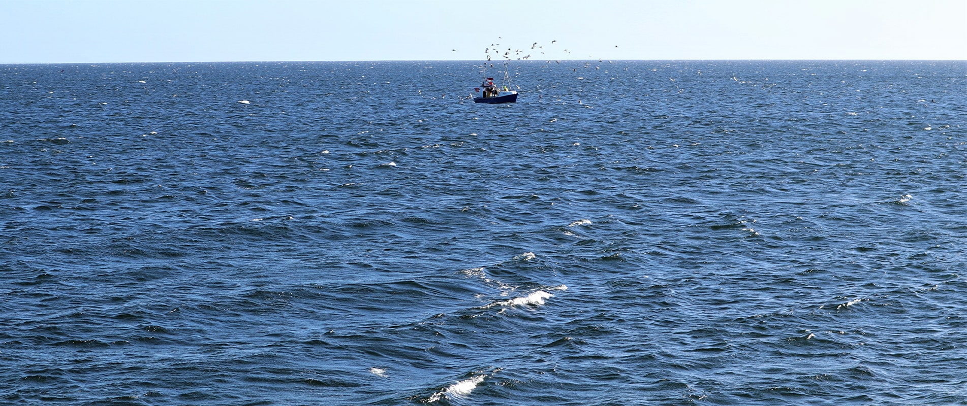 Meeresblick Ostsee