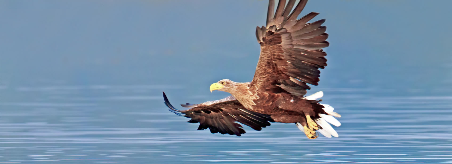 Ferienwohnung Seeadler